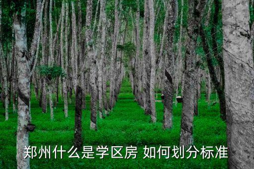 郑州什么是学区房 如何划分标准