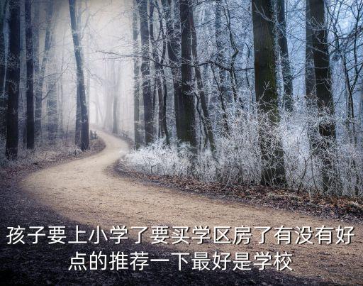 孩子要上小学了要买学区房了有没有好点的推荐一下最好是学校