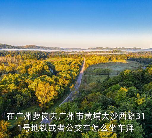 广州文冲哪个学区房最便宜，广州市黄埔区文冲小学怎么样
