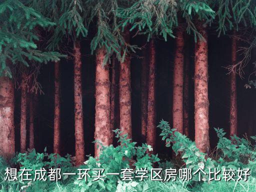 想在成都一环买一套学区房哪个比较好
