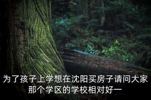 辽宁沈阳学区房哪个好，沈阳哪里的学区房好
