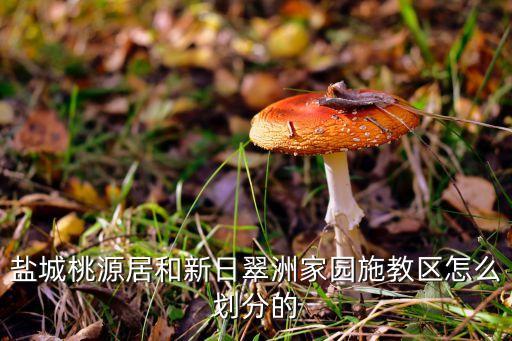 盐城桃源居和新日翠洲家园施教区怎么划分的