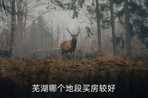芜湖哪个地段买房较好