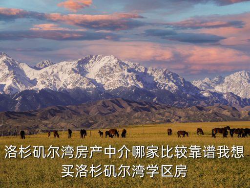 洛杉矶尔湾房产中介哪家比较靠谱我想买洛杉矶尔湾学区房