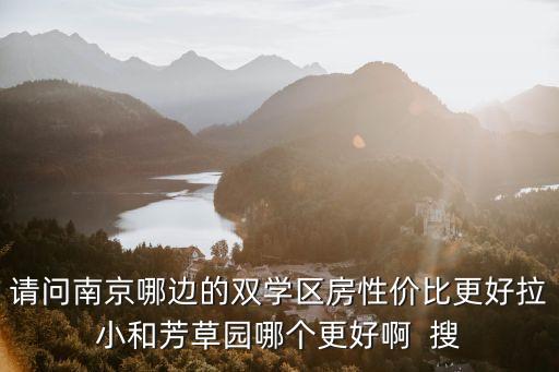请问南京哪边的双学区房性价比更好拉小和芳草园哪个更好啊  搜