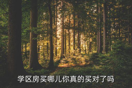 学区房买哪儿你真的买对了吗