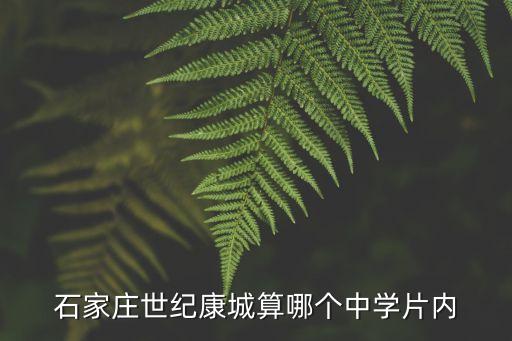 石家庄世纪康城算哪个中学片内