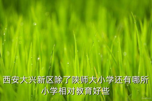 西安大兴新区除了陕师大小学还有哪所小学相对教育好些
