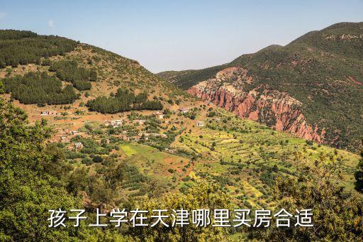 孩子上学在天津哪里买房合适