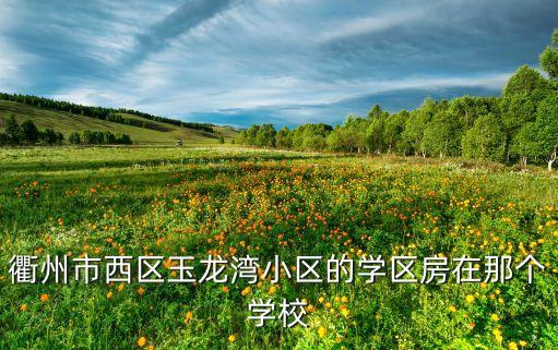 衢州市西区玉龙湾小区的学区房在那个学校