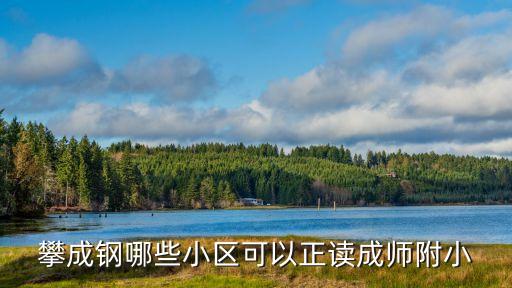 攀成钢哪些小区可以正读成师附小