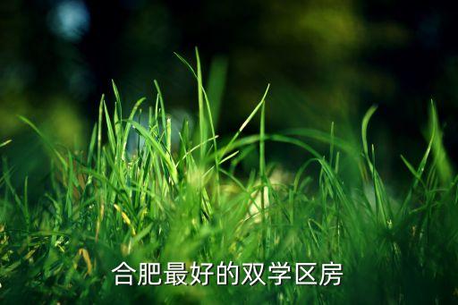 合肥最好的双学区房