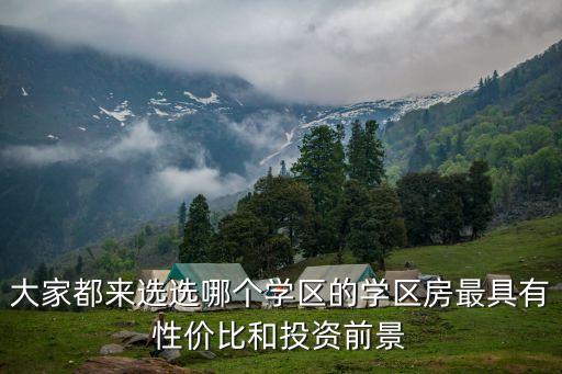 大家都来选选哪个学区的学区房最具有性价比和投资前景