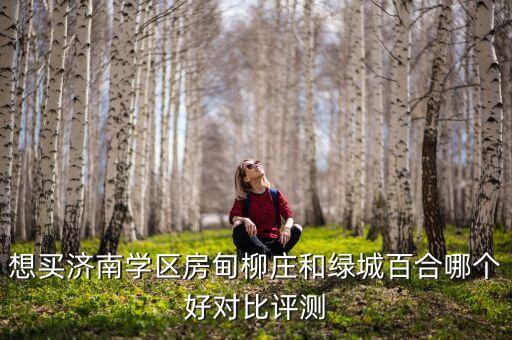 想买济南学区房甸柳庄和绿城百合哪个好对比评测