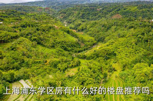 上海浦东学区房有什么好的楼盘推荐吗