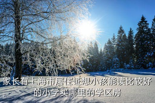 上海哪个地方的学区房最好，非上海户籍择校哪些区域学区房比较好