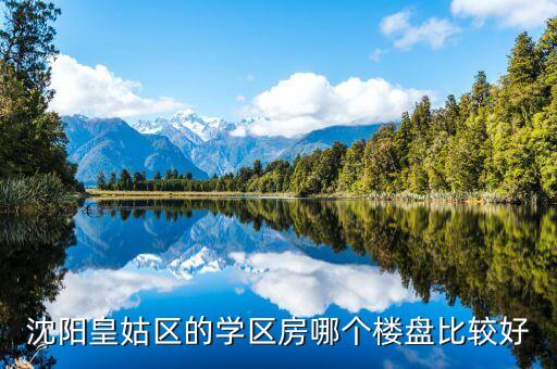 沈阳皇姑区的学区房哪个楼盘比较好