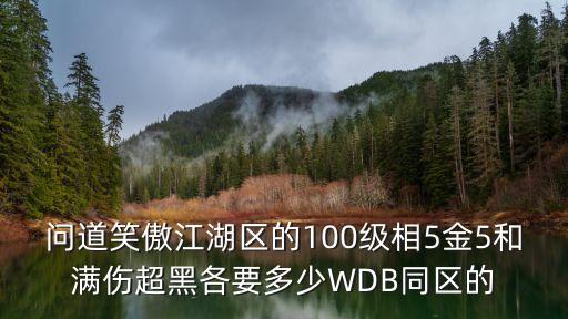 问道笑傲江湖区的100级相5金5和满伤超黑各要多少WDB同区的