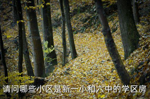请问哪些小区是新一小和六中的学区房