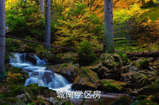 城南学区房