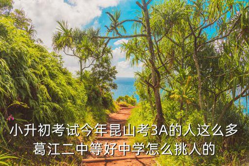 小升初考试今年昆山考3A的人这么多葛江二中等好中学怎么挑人的