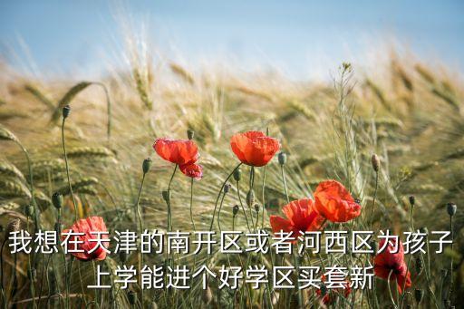 我想在天津的南开区或者河西区为孩子上学能进个好学区买套新