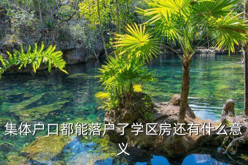 集体户口都能落户了学区房还有什么意义