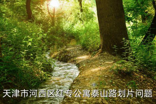 天津市河西区红专公寓泰山路划片问题