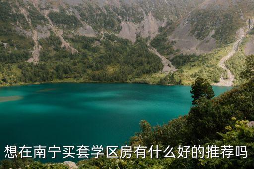 想在南宁买套学区房有什么好的推荐吗