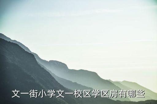 文一街小学文一校区学区房有哪些