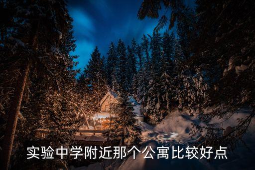 阜阳实验中学学区房哪个好，实验中学附近那个公寓比较好点