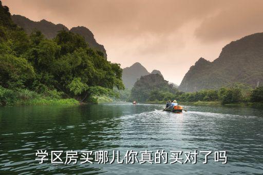 学区房买哪儿你真的买对了吗