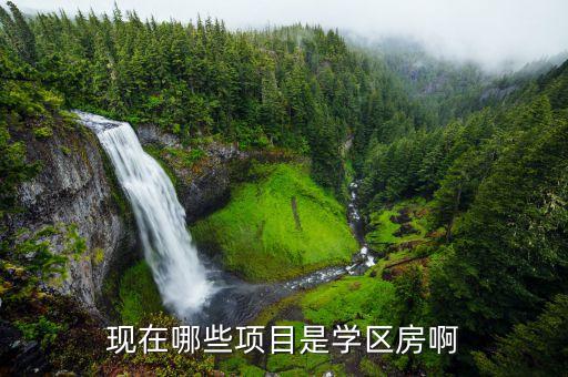 现在哪些项目是学区房啊