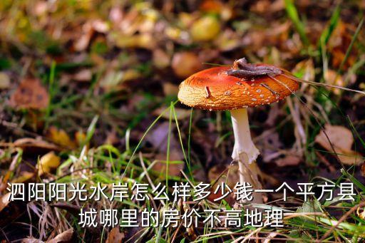 泗阳阳光水岸怎么样多少钱一个平方县城哪里的房价不高地理