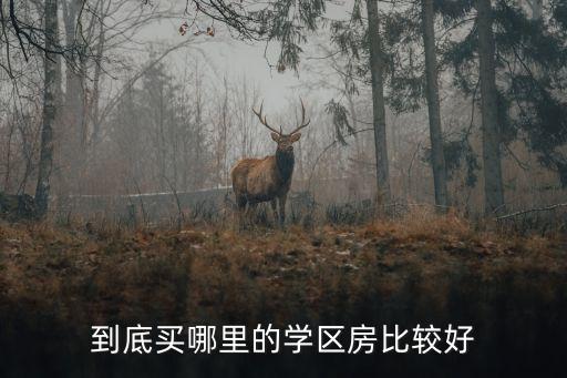 到底买哪里的学区房比较好