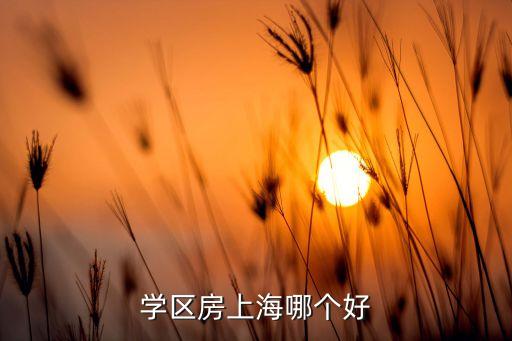 学区房上海哪个好