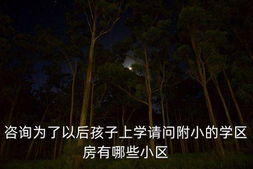 咨询为了以后孩子上学请问附小的学区房有哪些小区