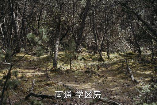 南通 学区房