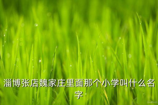 淄博张店魏家庄里面那个小学叫什么名字
