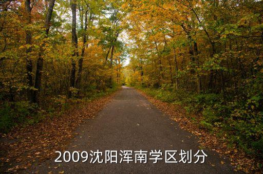 2009沈阳浑南学区划分