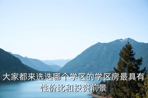 大家都来选选哪个学区的学区房最具有性价比和投资前景
