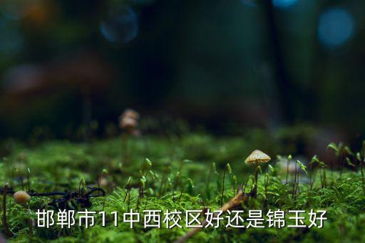 邯郸市11中西校区好还是锦玉好