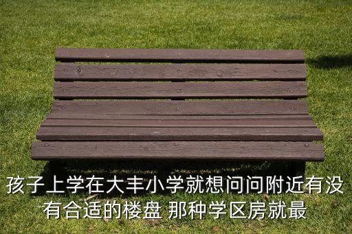 孩子上学在大丰小学就想问问附近有没有合适的楼盘 那种学区房就最