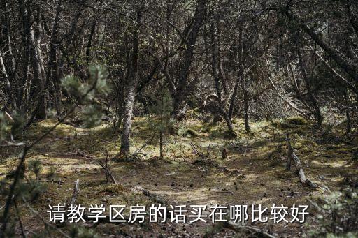 请教学区房的话买在哪比较好