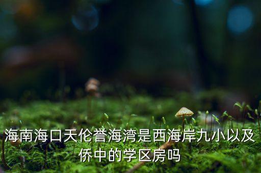 海口小户型学区房推荐哪个，我想要在海口买一个可以观海的公寓