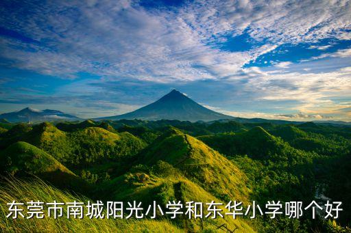 东华附小的学区房有哪些，东莞市南城阳光小学和东华小学哪个好