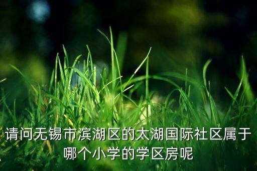 请问无锡市滨湖区的太湖国际社区属于哪个小学的学区房呢
