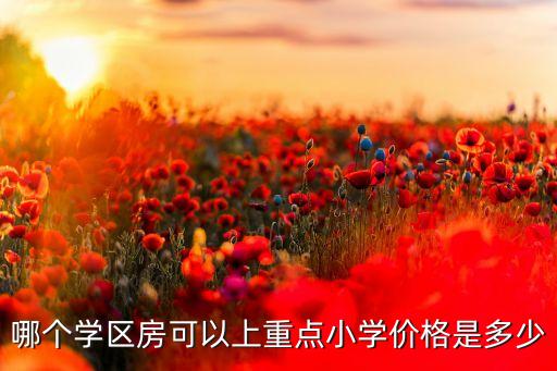 哪个学区房可以上重点小学价格是多少