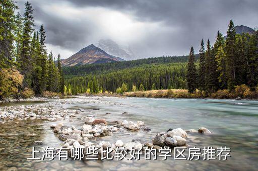 上海有哪些比较好的学区房推荐