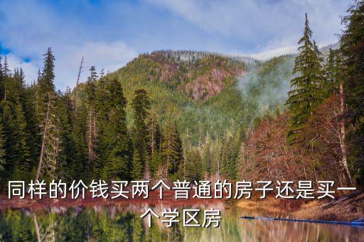 同样的价钱买两个普通的房子还是买一个学区房